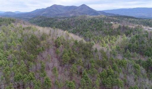 Photo of UNDER CONTRACT!! 33 Acres of Residential and Hunting Land in Alleghany County VA!