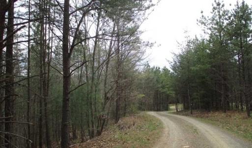 Photo of UNDER CONTRACT!! 33 Acres of Residential and Hunting Land in Alleghany County VA!
