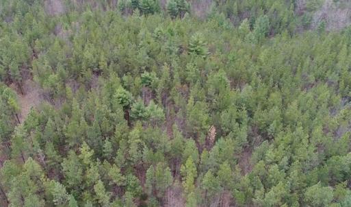 Photo of UNDER CONTRACT!! 33 Acres of Residential and Hunting Land in Alleghany County VA!
