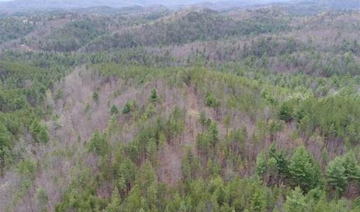 Photo of UNDER CONTRACT!! 33 Acres of Residential and Hunting Land in Alleghany County VA!