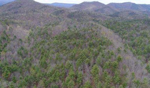 Photo of UNDER CONTRACT!! 33 Acres of Residential and Hunting Land in Alleghany County VA!