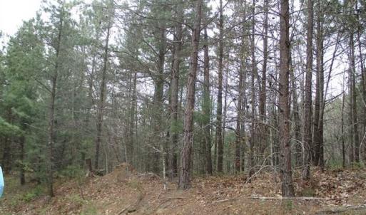 Photo of UNDER CONTRACT!! 33 Acres of Residential and Hunting Land in Alleghany County VA!
