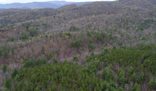 Photo of UNDER CONTRACT!! 33 Acres of Residential and Hunting Land in Alleghany County VA!
