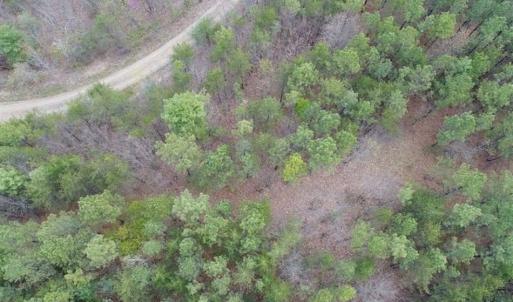 Photo of UNDER CONTRACT!! 33 Acres of Residential and Hunting Land in Alleghany County VA!
