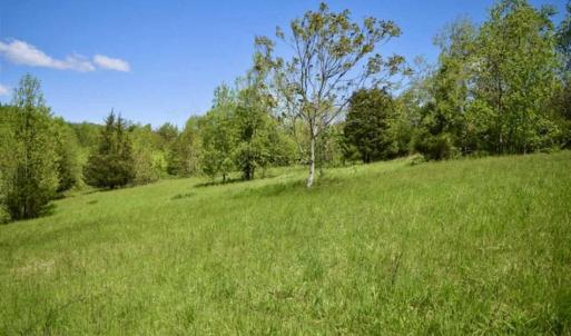 Photo of SOLD!!  34 Acres with Mountain Views & Country Home For Sale in Bedford County VA!