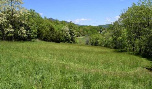 Photo of SOLD!!  34 Acres with Mountain Views & Country Home For Sale in Bedford County VA!