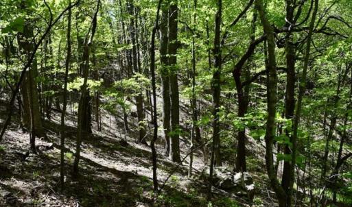 Photo of SOLD!!  34 Acres with Mountain Views & Country Home For Sale in Bedford County VA!