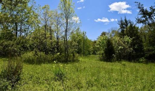 Photo of SOLD!!  34 Acres with Mountain Views & Country Home For Sale in Bedford County VA!