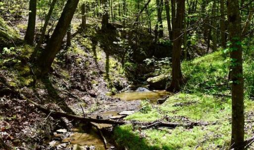 Photo of SOLD!!  34 Acres with Mountain Views & Country Home For Sale in Bedford County VA!