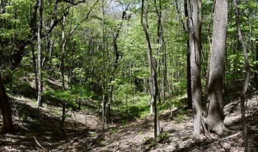 Photo of SOLD!!  34 Acres with Mountain Views & Country Home For Sale in Bedford County VA!