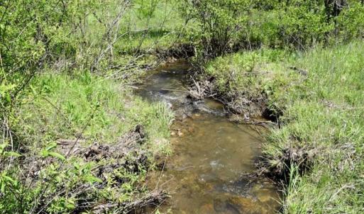 Photo of SOLD!!  34 Acres with Mountain Views & Country Home For Sale in Bedford County VA!