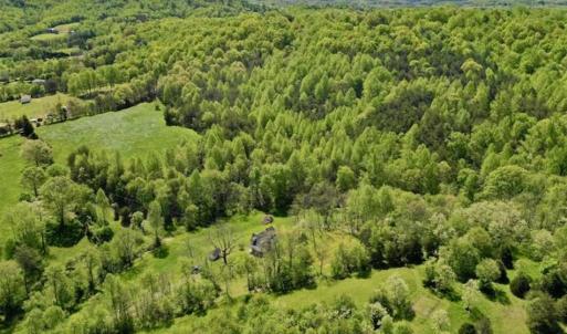 Photo of SOLD!!  34 Acres with Mountain Views & Country Home For Sale in Bedford County VA!