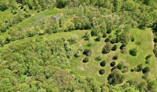 Photo of SOLD!!  34 Acres with Mountain Views & Country Home For Sale in Bedford County VA!
