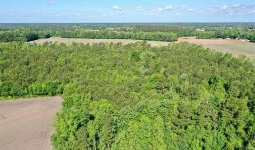 Photo of SOLD!!  48.41 Acres of Farm and Hunting Land For Sale in Columbus County NC!