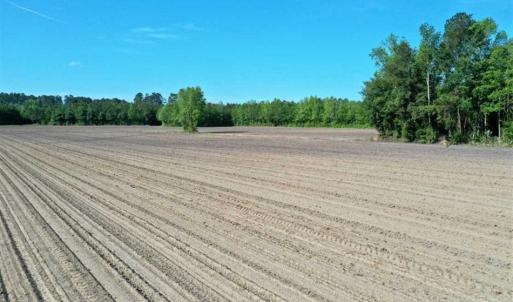 Photo of SOLD!!  48.41 Acres of Farm and Hunting Land For Sale in Columbus County NC!