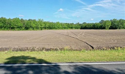 Photo of SOLD!!  48.41 Acres of Farm and Hunting Land For Sale in Columbus County NC!