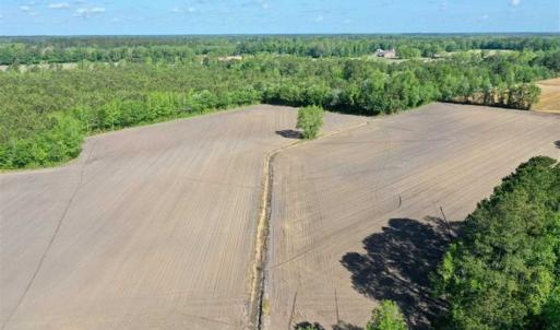 Photo of SOLD!!  48.41 Acres of Farm and Hunting Land For Sale in Columbus County NC!