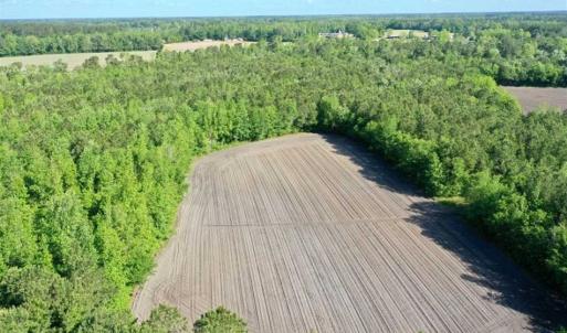 Photo of SOLD!!  48.41 Acres of Farm and Hunting Land For Sale in Columbus County NC!