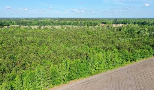 Photo of SOLD!!  48.41 Acres of Farm and Hunting Land For Sale in Columbus County NC!