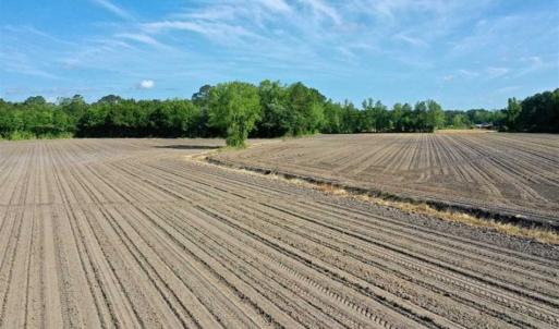 Photo of SOLD!!  48.41 Acres of Farm and Hunting Land For Sale in Columbus County NC!