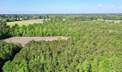Photo of SOLD!!  48.41 Acres of Farm and Hunting Land For Sale in Columbus County NC!