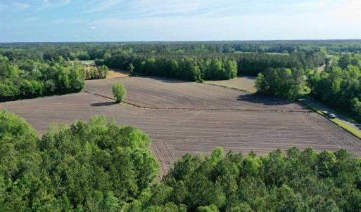 Photo of SOLD!!  48.41 Acres of Farm and Hunting Land For Sale in Columbus County NC!