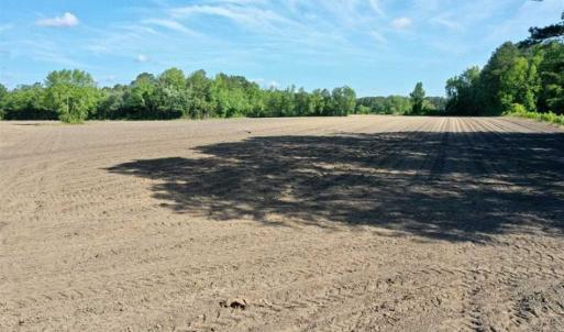 Photo of SOLD!!  48.41 Acres of Farm and Hunting Land For Sale in Columbus County NC!