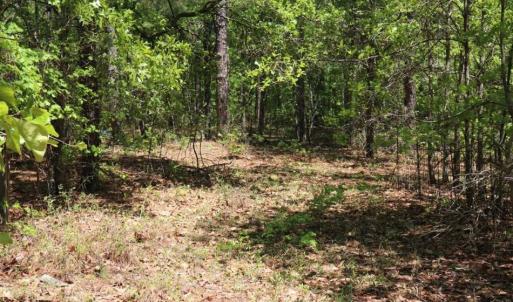 Photo of SOLD!!  19.47 Acres of Residential and Recreational Land in Harnett County NC!