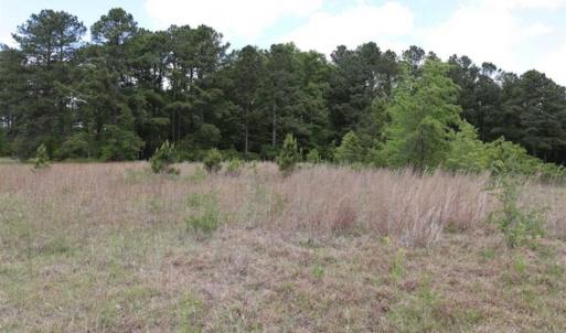 Photo of SOLD!!  19.47 Acres of Residential and Recreational Land in Harnett County NC!