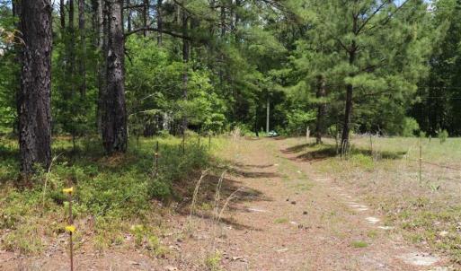 Photo of SOLD!!  19.47 Acres of Residential and Recreational Land in Harnett County NC!