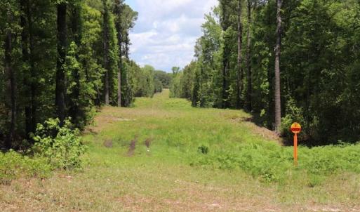 Photo of SOLD!!  19.47 Acres of Residential and Recreational Land in Harnett County NC!