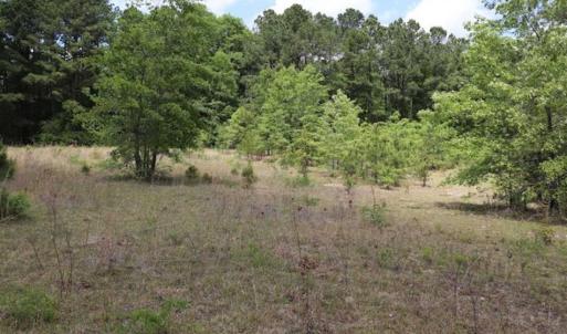 Photo of SOLD!!  19.47 Acres of Residential and Recreational Land in Harnett County NC!