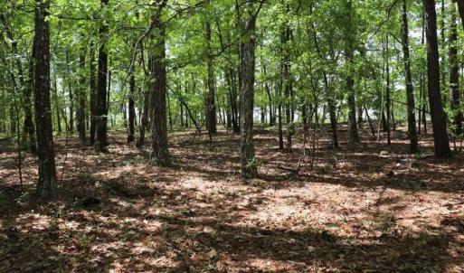 Photo of SOLD!!  19.47 Acres of Residential and Recreational Land in Harnett County NC!