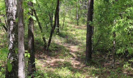 Photo of SOLD!!  19.47 Acres of Residential and Recreational Land in Harnett County NC!