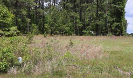 Photo of SOLD!!  19.47 Acres of Residential and Recreational Land in Harnett County NC!