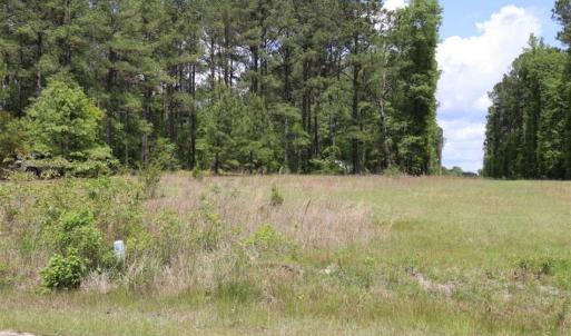 Photo of SOLD!!  19.47 Acres of Residential and Recreational Land in Harnett County NC!
