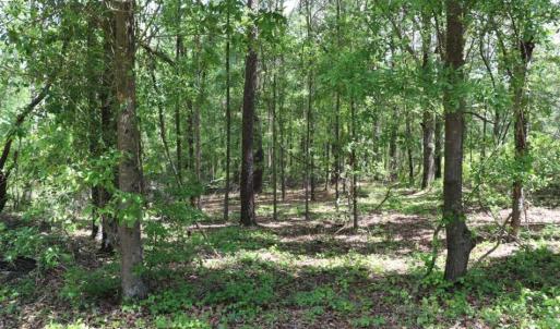 Photo of SOLD!!  19.47 Acres of Residential and Recreational Land in Harnett County NC!