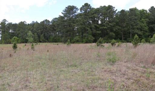 Photo of SOLD!!  19.47 Acres of Residential and Recreational Land in Harnett County NC!