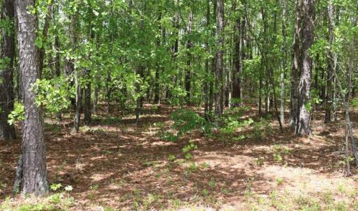 Photo of SOLD!!  19.47 Acres of Residential and Recreational Land in Harnett County NC!