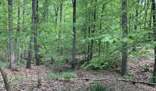 Photo of UNDER CONTRACT!!  3.7 Acres of Residential and Investment Land For Sale in Franklin County NC!