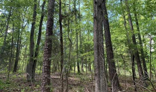 Photo of UNDER CONTRACT!!  3.7 Acres of Residential and Investment Land For Sale in Franklin County NC!