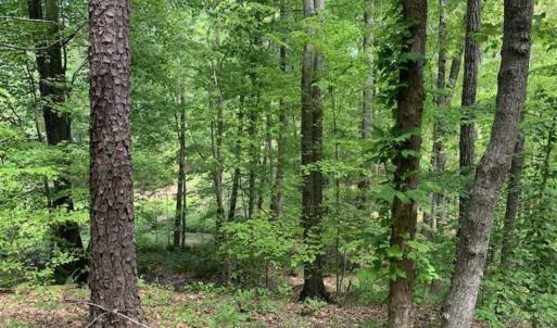 Photo of UNDER CONTRACT!!  3.7 Acres of Residential and Investment Land For Sale in Franklin County NC!