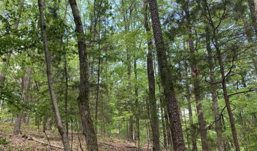 Photo of SOLD!!  0.92 Acres of Residential and Recreational Land in Franklin County NC!