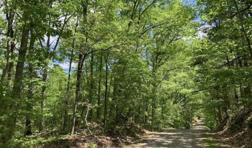 Photo of SOLD!!  0.92 Acres of Residential and Recreational Land in Franklin County NC!