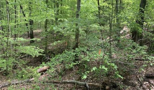 Photo of SOLD!!  0.92 Acres of Residential and Recreational Land in Franklin County NC!