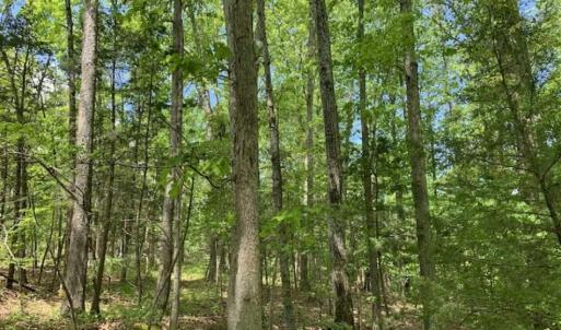 Photo of SOLD!!  0.92 Acres of Residential and Recreational Land in Franklin County NC!