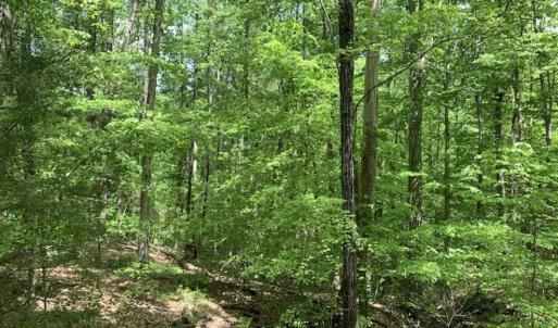 Photo of SOLD!!  0.92 Acres of Residential and Recreational Land in Franklin County NC!