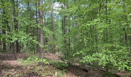 Photo of SOLD!!  0.92 Acres of Residential and Recreational Land in Franklin County NC!
