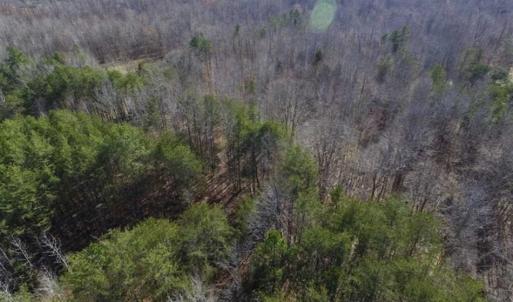 Photo of SOLD!!  3.88 Acres of Rural Residential Land For Sale in Lunenburg County VA!