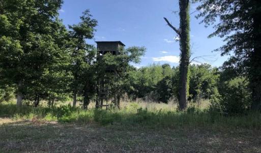 Photo of SOLD!!  254 Acres of Timber and Farm Land For Sale in Columbus County NC!